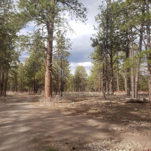 334 Wood Sorrel Lane, Montrose, CO, 81403 | Card Image