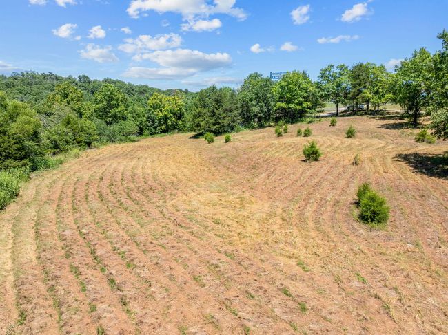Cleared Area | Image 13