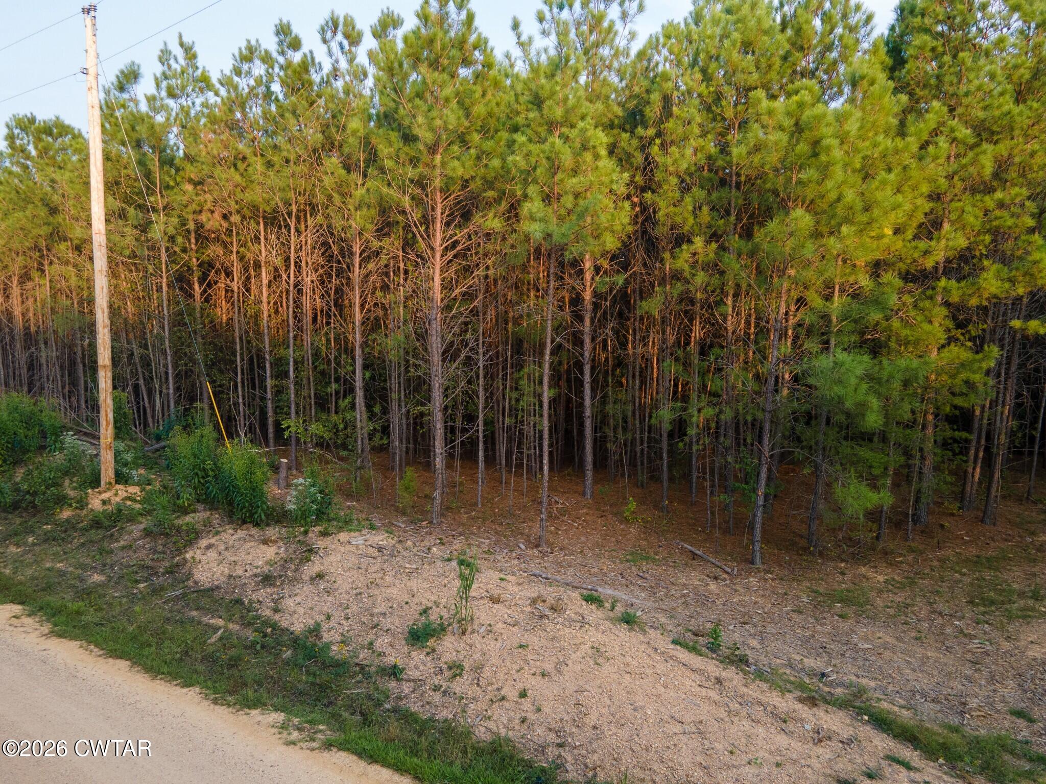 Land in Hohenwald 3