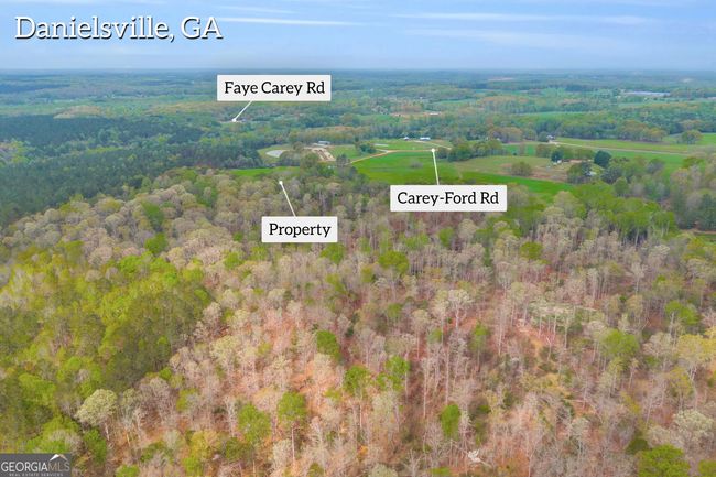 0 Carey Ford Rd, Home with 0 bedrooms, 0 bathrooms and null parking in Danielsville GA | Image 4