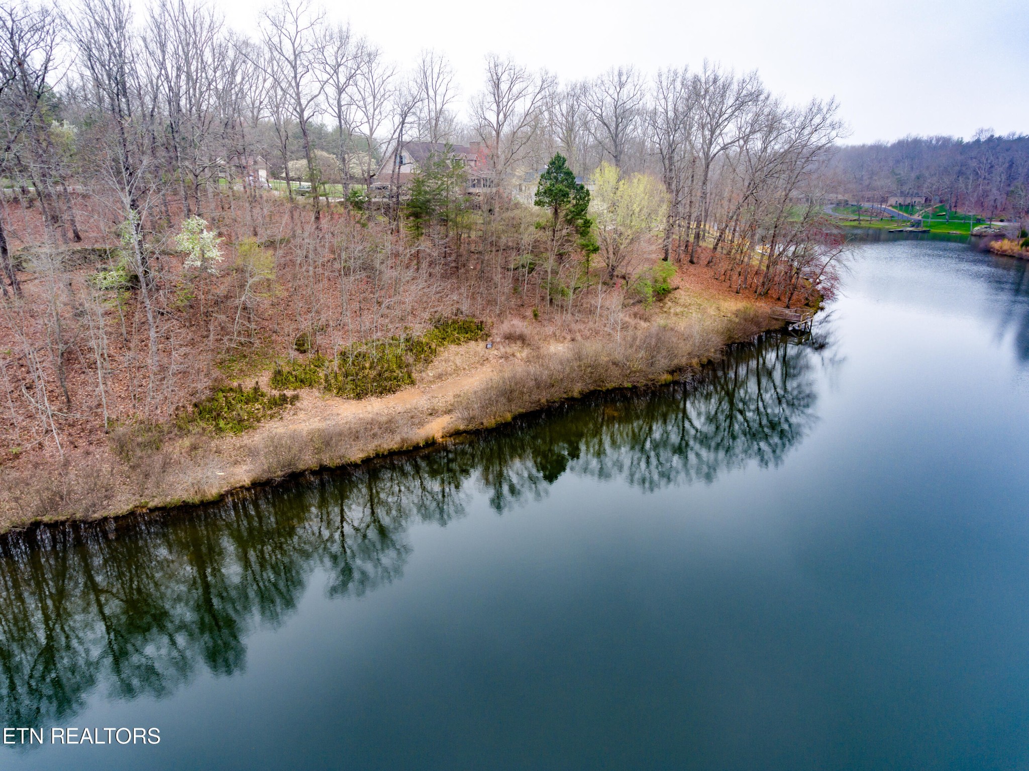Land in Crossville 4
