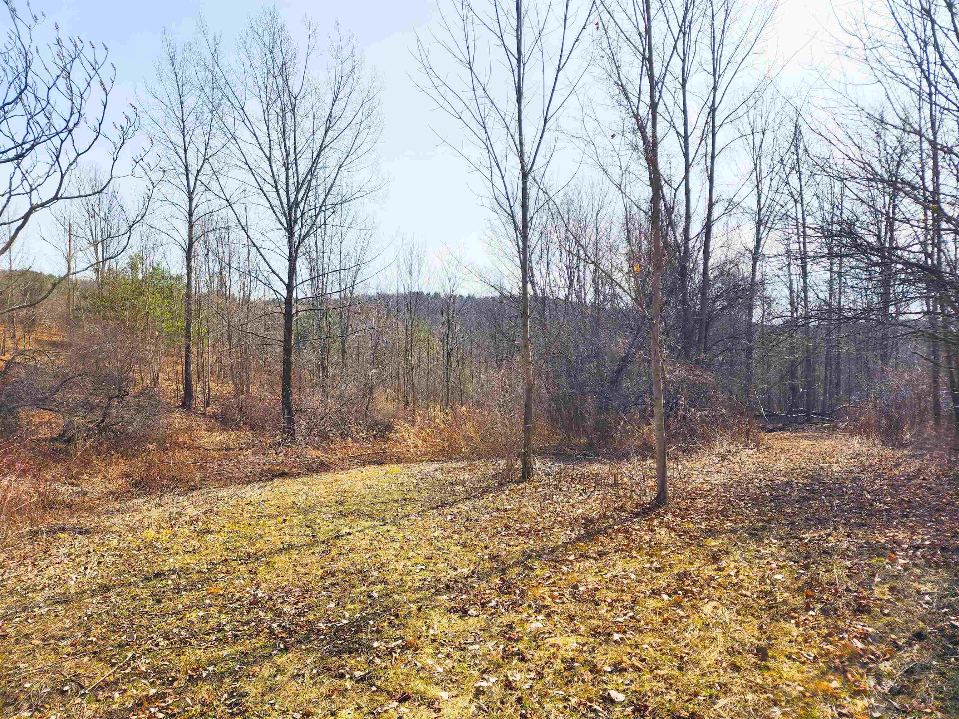 Land in Castleton 2