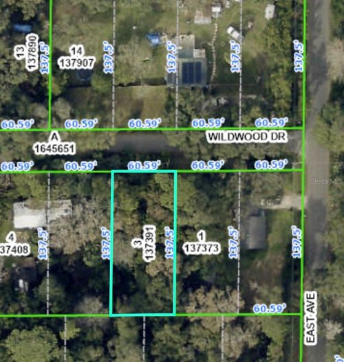 20128 Wildwood Dr, BROOKSVILLE, FL, 34601-1861 | Card Image