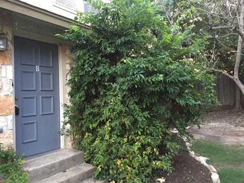 apt-b-1405 Camp Craft Rd, West Lake Hills, TX, 78746-6978 | Card Image