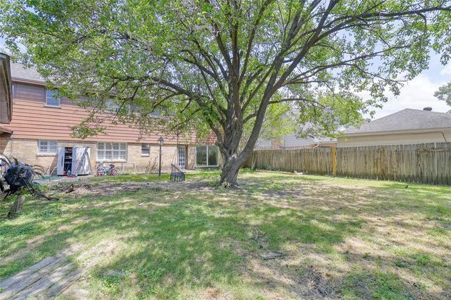 Back Yard | Image 23