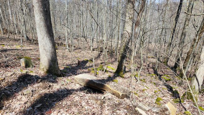 TRACT-1-PIKE-LAKE-GETAWA - 0 Pike Lake Rd, Home with 0 bedrooms, 0 bathrooms and null parking in Bainbridge OH | Image 40