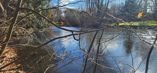 00 W Rainbow Rd, Mc Bain, MI, 49657 | Card Image