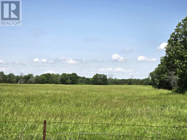 4893 Old Highway 2 Highway, Home with 4 bedrooms, 2 bathrooms and 9 parking in Belleville (Belleville Ward) ON | Image 17