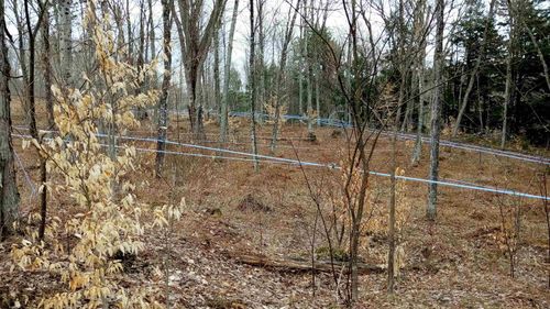 0000 Town Hill Rd, Wolcott, VT, 05680 | Card Image