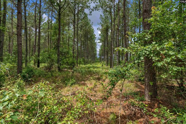 0000 N Brewington Rd, Home with 0 bedrooms, 0 bathrooms and null parking in Manning SC | Image 57