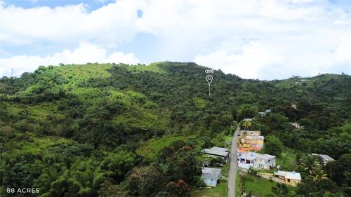 PR-181 km 11.0 Cayaguaz, SAN LORENZO, PR, 00754 | Card Image