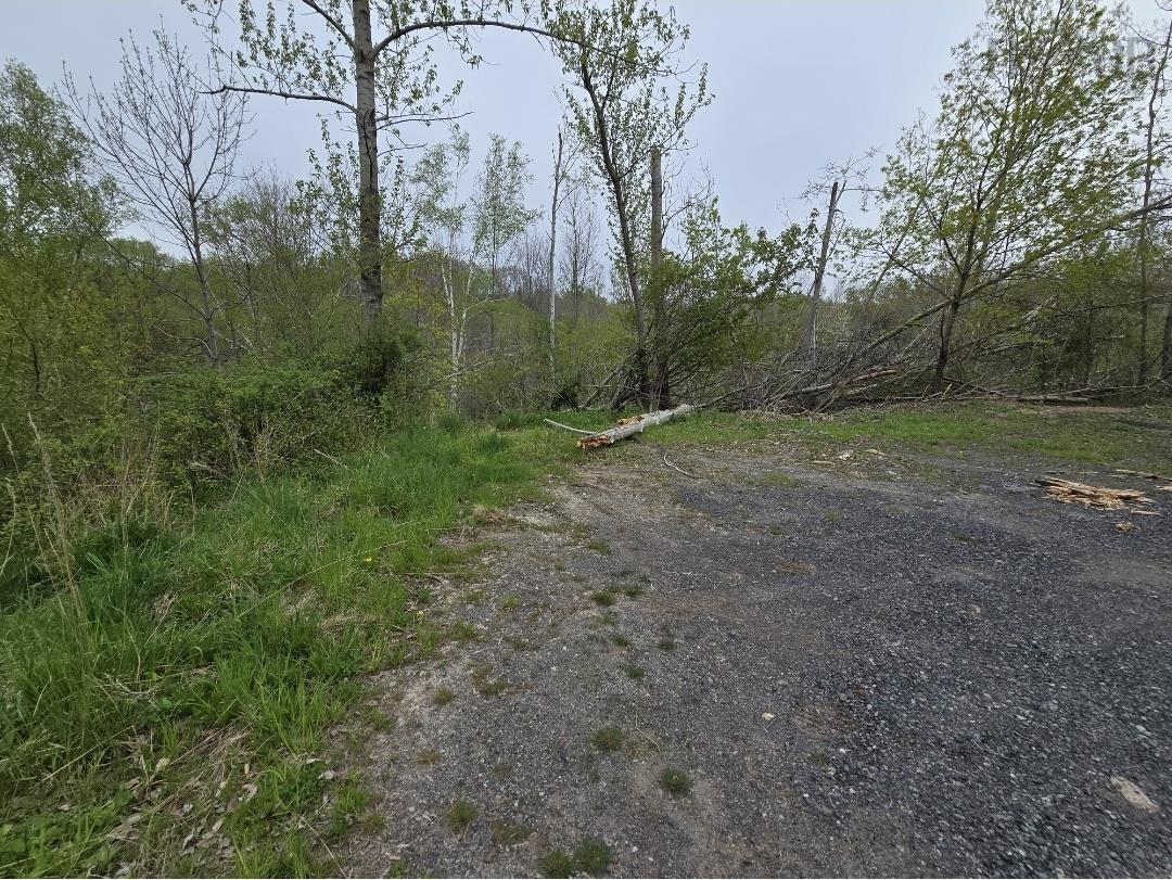 Land in Trenton 4