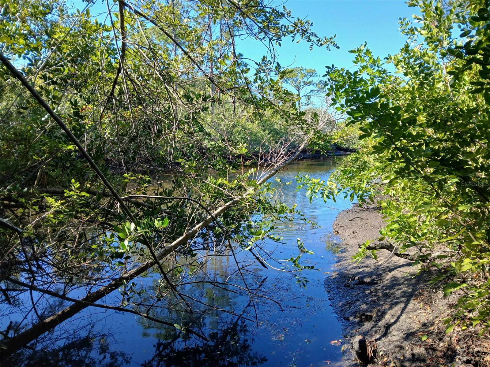 Land in PORT CHARLOTTE 4