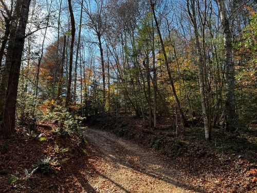 0 Fixer Rd, Zoe, KY, 41397 | Card Image