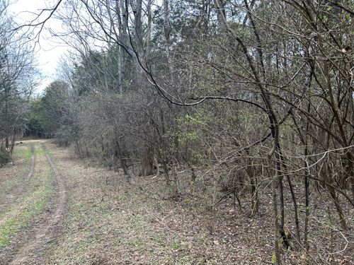 3440 Spring Ln, White Pine, TN, 37890 | Card Image