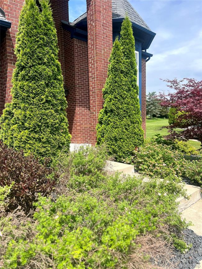 side landscape | Image 6