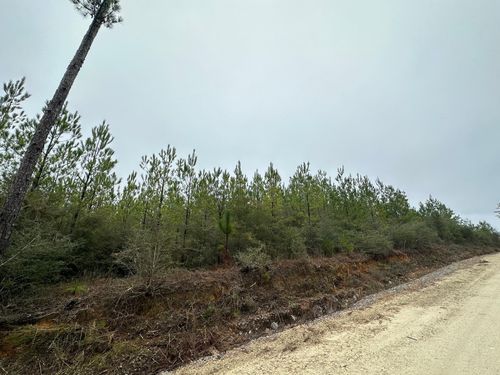 n1-Tract#6418 Mattox Springs Rd, Caryville, FL, 32427 | Card Image