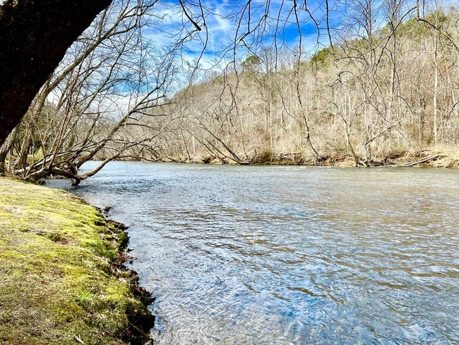C236 Ogden Dr, Home with 0 bedrooms, 0 bathrooms and null parking in Ellijay GA | Image 7