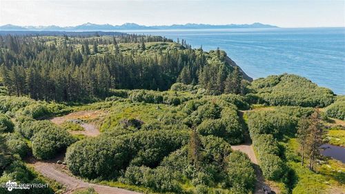 35899 Danver St, Anchor Point, AK, 99556-9534 | Card Image