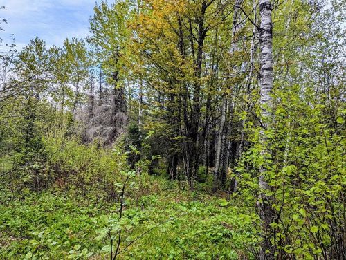 XX37 W Lismore Rd, Duluth, MN, 55803 | Card Image