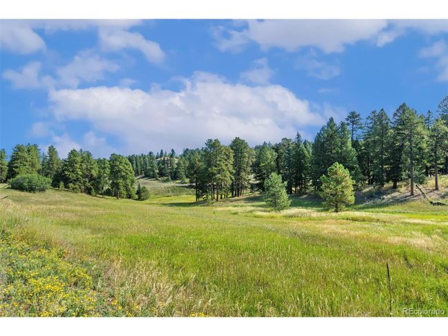 8066 Federation Dr, Home with 0 bedrooms, 0 bathrooms and null parking in Morrison CO | Image 14