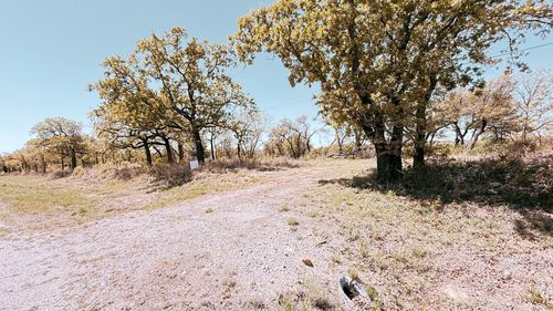 TBD Private Rd, Santo, TX, 76472 | Card Image