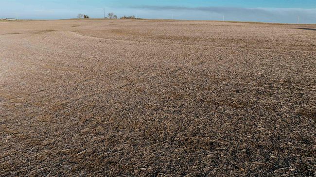 0000 S 8 Th Rd, Home with 0 bedrooms, 0 bathrooms and null parking in Palmyra NE | Image 18
