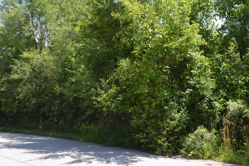 TBD V/L E Maple Road, Grant Township, MI, 48617 | Card Image