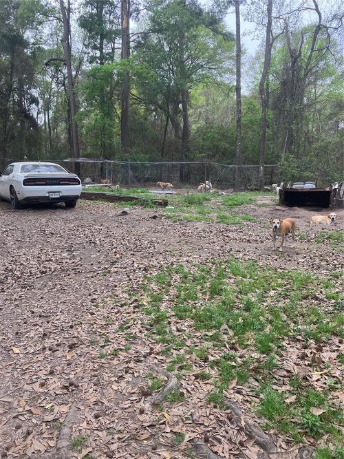 21072 Patricia Ln, New Caney, TX, 77357-4484 | Card Image