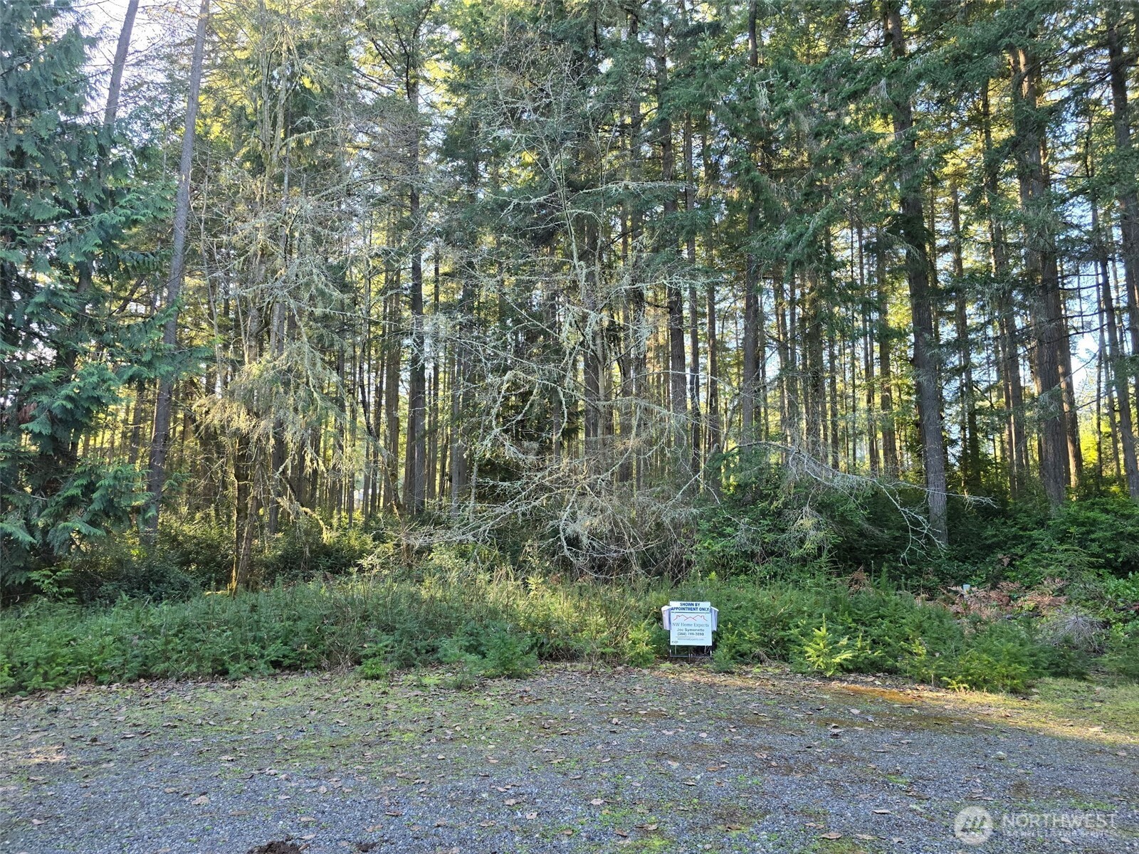 Land in Anderson Island 3