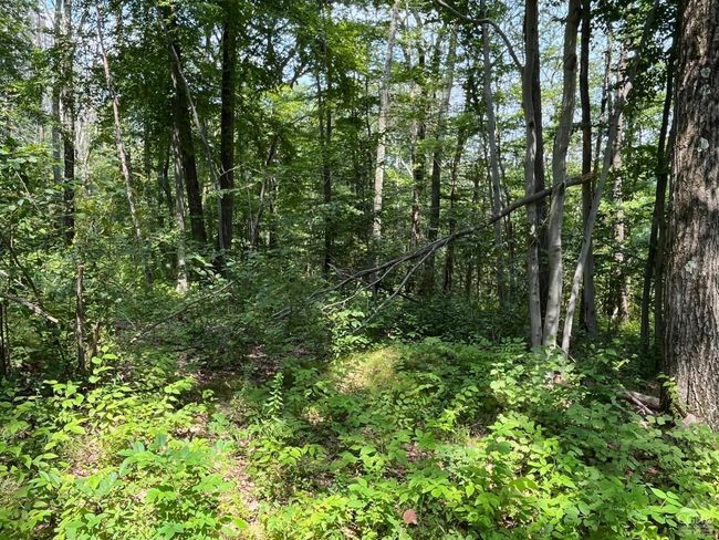 0 Cascade Mountain Rd, Home with 0 bedrooms, 0 bathrooms and null parking in Amenia NY | Image 13