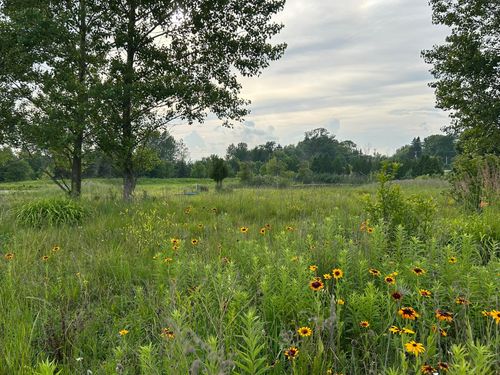 585 High Bluff Dr, Grafton, WI, 53024-9535 | Card Image
