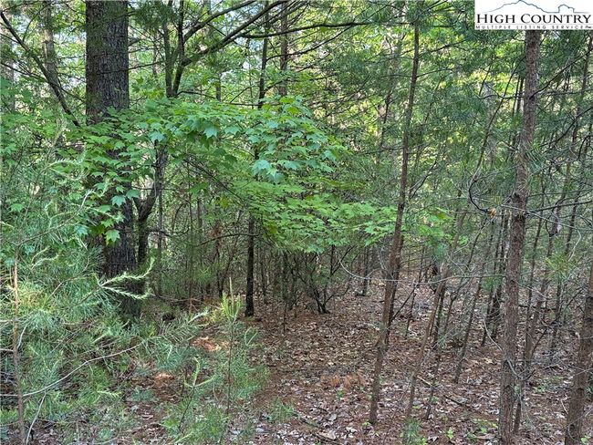 27 Wolf Pen Rd, Home with 0 bedrooms, 0 bathrooms and null parking in Purlear NC | Image 10