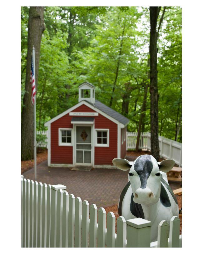“Harriett” the holstein won’t bite so you can pet her all you’d like | Image 75