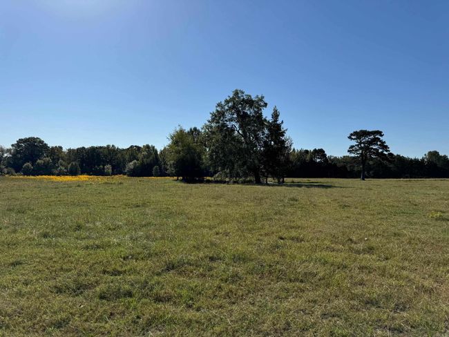 527 Highway 225 W, Home with 0 bedrooms, 0 bathrooms and null parking in Greenbrier AR | Image 4