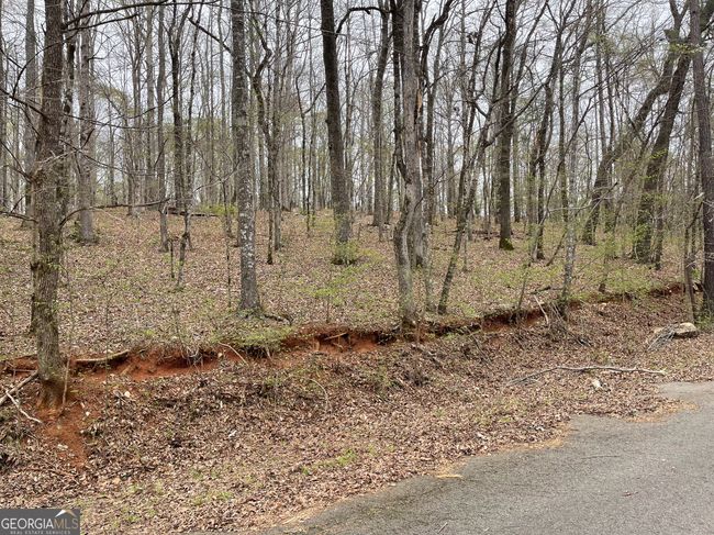 0 Green Oak Cir, Home with 0 bedrooms, 0 bathrooms and null parking in Thomaston GA | Image 6