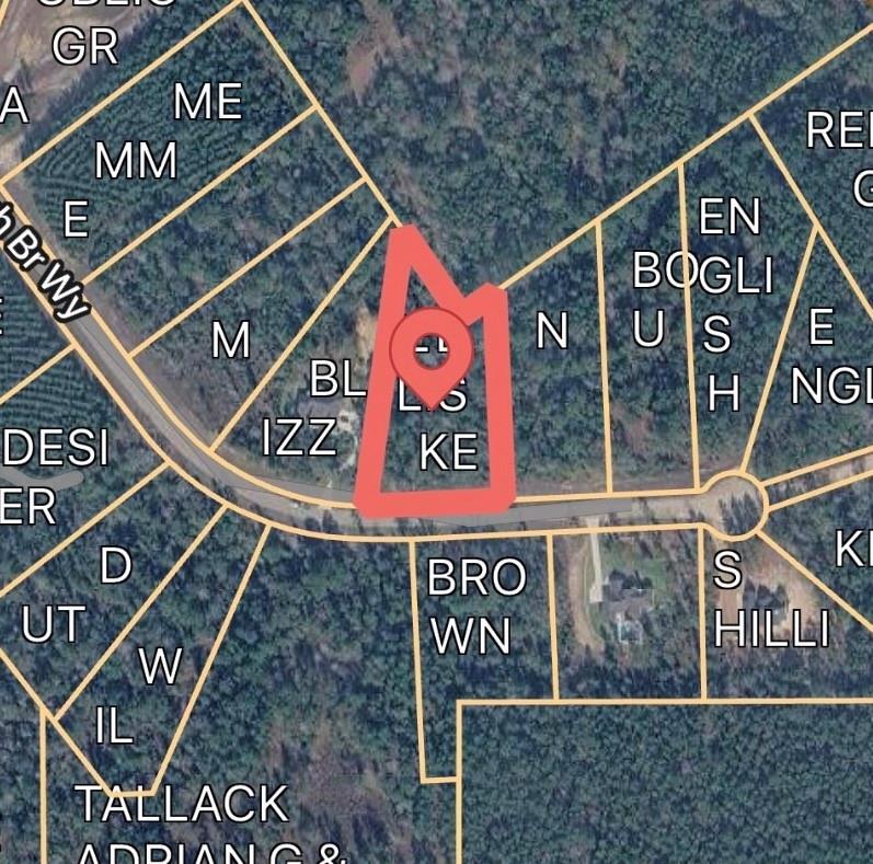 Land in Willis 5