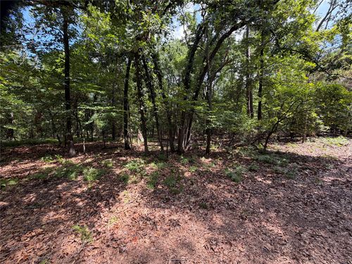 Lot 29 & 30 King Arthur Court, Scroggins, TX, 75480 | Card Image