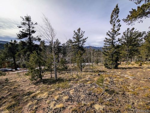 288 Hayes St, BAILEY, CO, 80421-1549 | Card Image