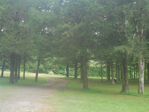 16 Chickasaw Cv, Damascus, AR, 72039 | Card Image