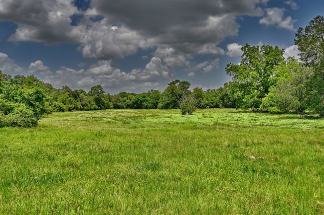 View of yard featuring a wooded view and a view of rural / pastoral area | Image 23