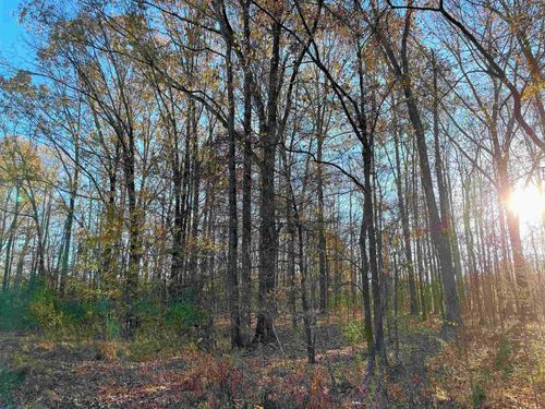 0 Hays Rd, Moscow, TN, 38057 | Card Image
