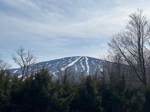 5 Red Hickory Road, Winhall, VT, 05340 | Card Image