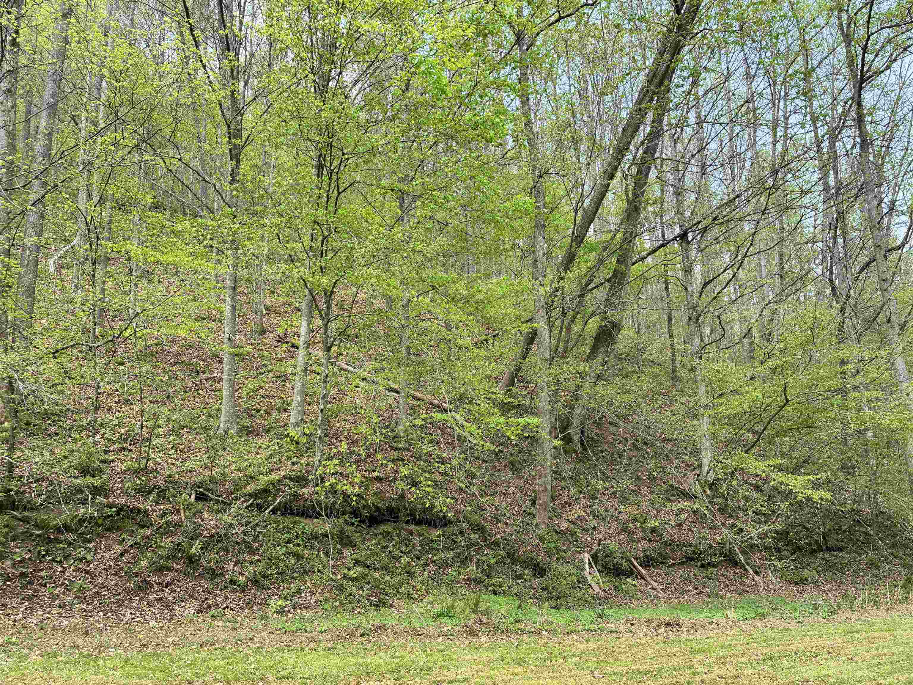 Land in Louisa 2