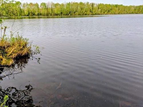 Lot 7 Pixley Wilderness Shores Rd, Park Falls, WI, 54552 | Card Image