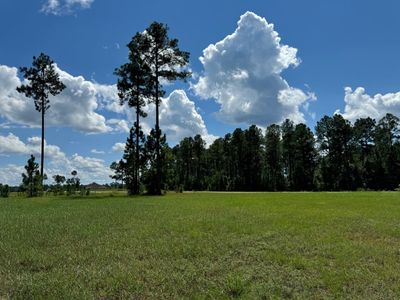 207 Bell Tower Pkwy, Home with 0 bedrooms, 0 bathrooms and null parking in Carriere MS | Image 2