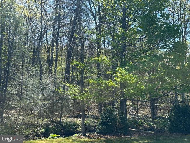 0 New Bloomfield Rd, Home with 0 bedrooms, 0 bathrooms and null parking in NEW BLOOMFIELD PA | Image 43