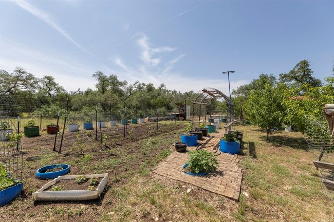 View of yard with a garden | Image 27
