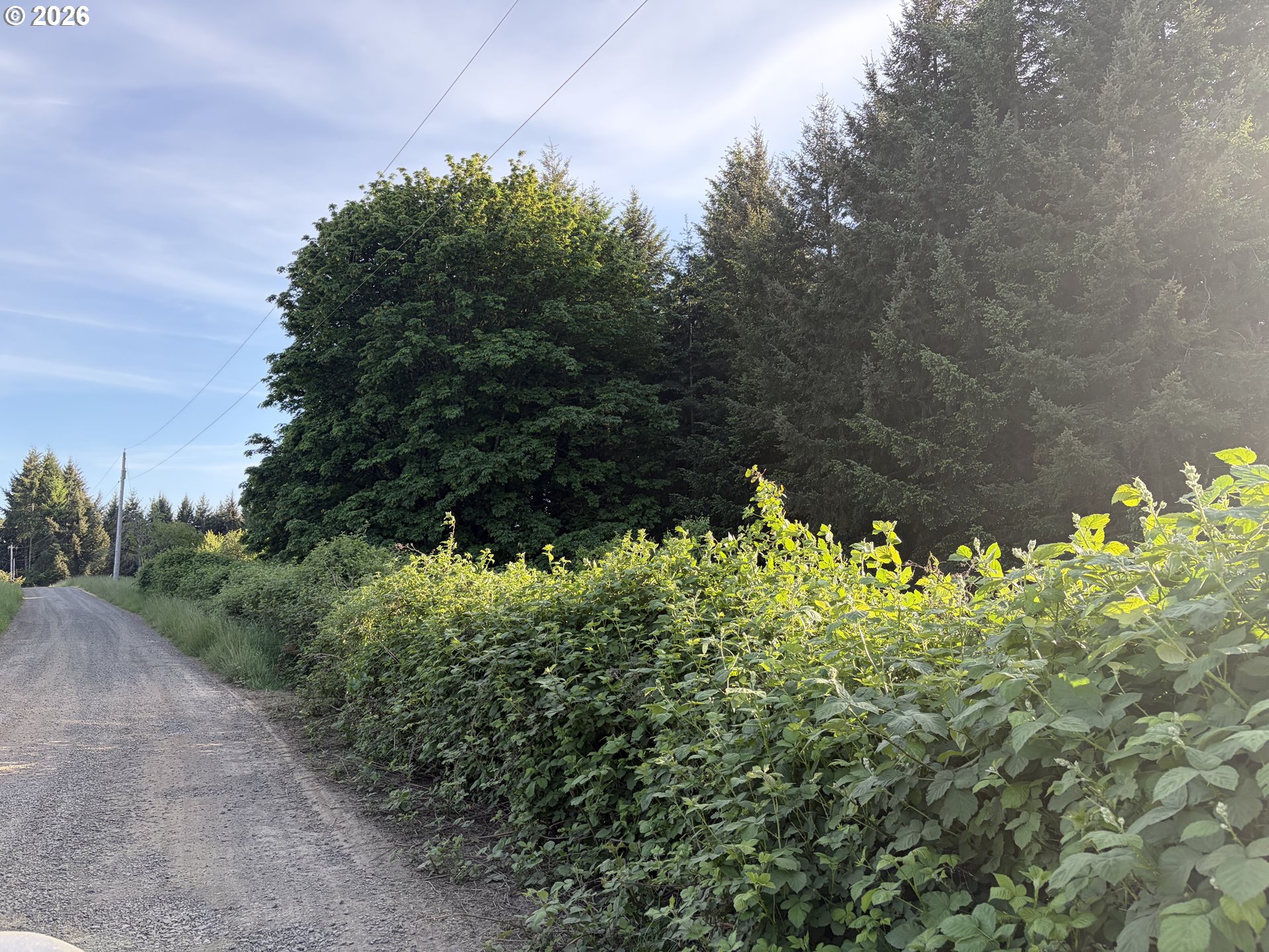 Land in Sheridan 5