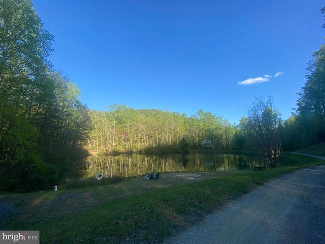 0 Revenooer Rd, Home with 0 bedrooms, 0 bathrooms and null parking in MADISON VA | Image 13